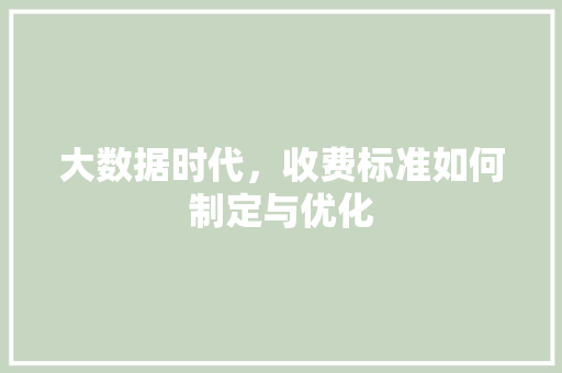 大数据时代，收费标准如何制定与优化