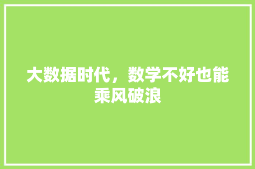 大数据时代，数学不好也能乘风破浪
