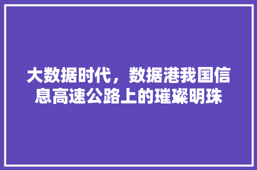 大数据时代，数据港我国信息高速公路上的璀璨明珠