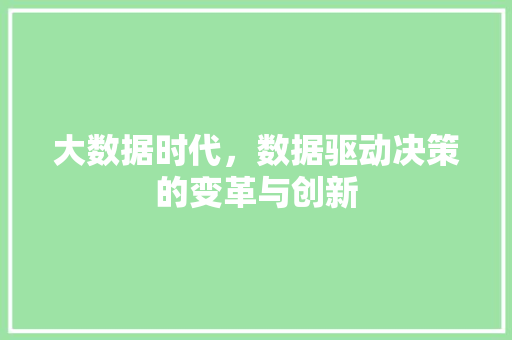 大数据时代，数据驱动决策的变革与创新