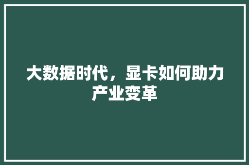 大数据时代，显卡如何助力产业变革