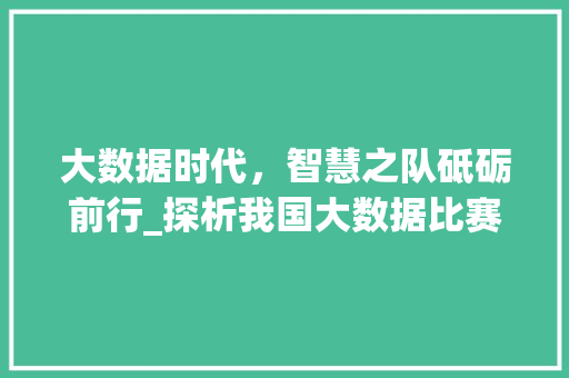 大数据时代，智慧之队砥砺前行_探析我国大数据比赛优秀队伍的发展之路