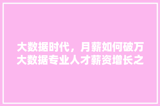 大数据时代，月薪如何破万大数据专业人才薪资增长之路