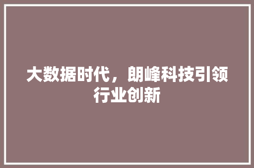 大数据时代，朗峰科技引领行业创新