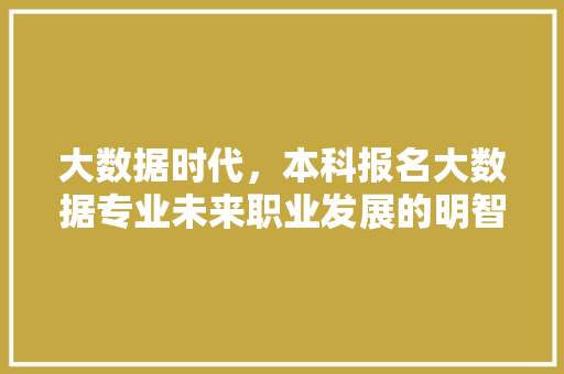 大数据时代，本科报名大数据专业未来职业发展的明智之选