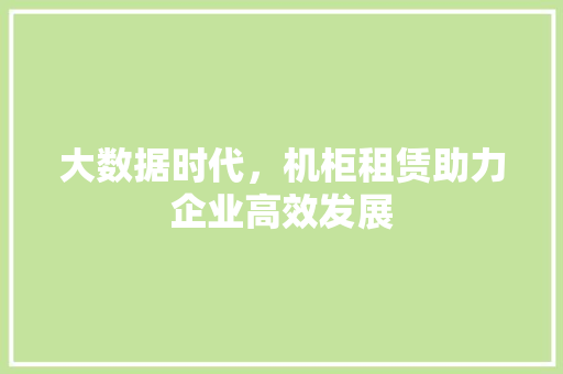 大数据时代，机柜租赁助力企业高效发展