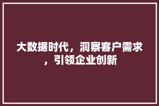 大数据时代，洞察客户需求，引领企业创新