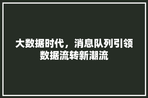 大数据时代，消息队列引领数据流转新潮流