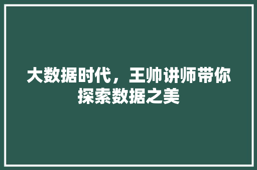 大数据时代，王帅讲师带你探索数据之美