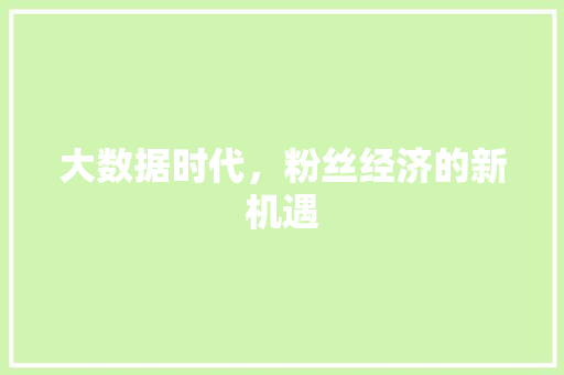 大数据时代，粉丝经济的新机遇