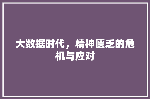 大数据时代，精神匮乏的危机与应对