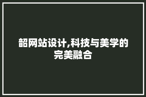 韶网站设计,科技与美学的完美融合 网站建设