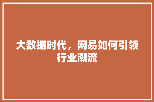 大数据时代，网易如何引领行业潮流