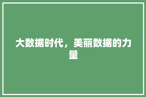 大数据时代，美丽数据的力量