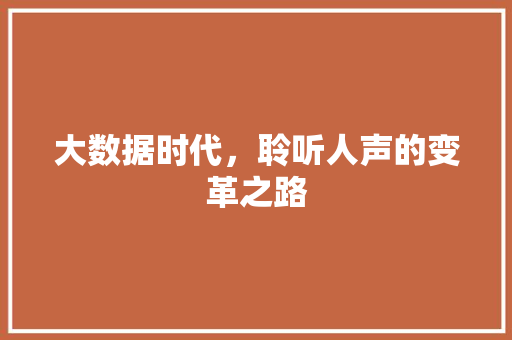 大数据时代，聆听人声的变革之路