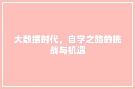 大数据时代，自学之路的挑战与机遇