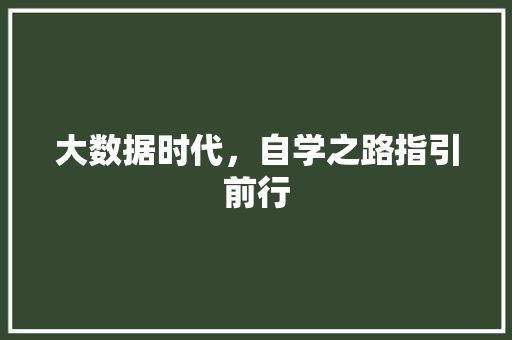 大数据时代，自学之路指引前行