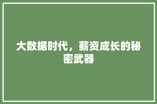 大数据时代，薪资成长的秘密武器