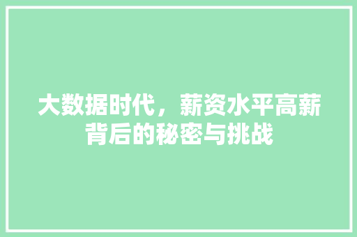 大数据时代，薪资水平高薪背后的秘密与挑战