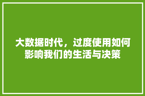 大数据时代，过度使用如何影响我们的生活与决策