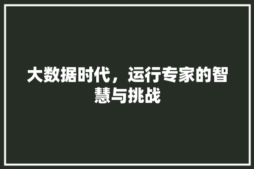 大数据时代，运行专家的智慧与挑战