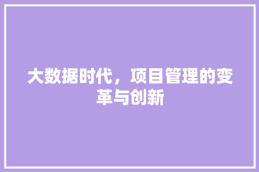 大数据时代，项目管理的变革与创新