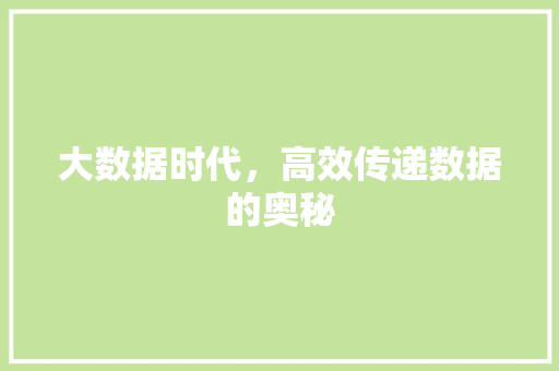 大数据时代，高效传递数据的奥秘