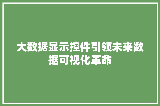 大数据显示控件引领未来数据可视化革命
