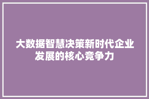 大数据智慧决策新时代企业发展的核心竞争力