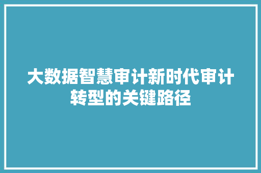 大数据智慧审计新时代审计转型的关键路径