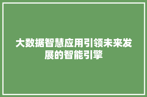 大数据智慧应用引领未来发展的智能引擎