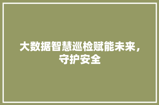 大数据智慧巡检赋能未来，守护安全