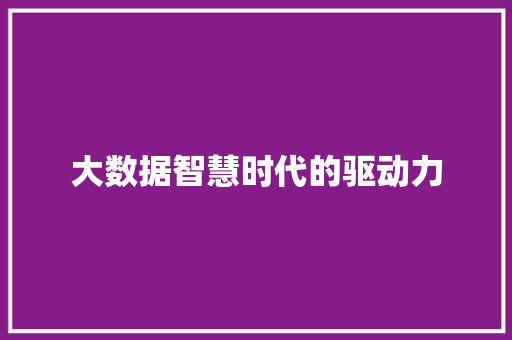 大数据智慧时代的驱动力