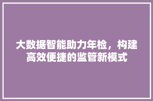 大数据智能助力年检，构建高效便捷的监管新模式
