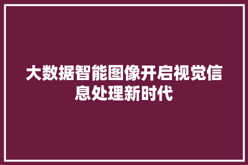 大数据智能图像开启视觉信息处理新时代