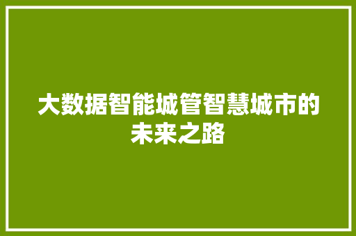 大数据智能城管智慧城市的未来之路
