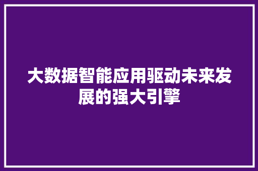 大数据智能应用驱动未来发展的强大引擎