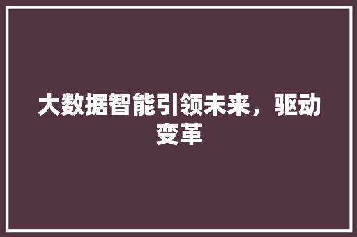 大数据智能引领未来，驱动变革