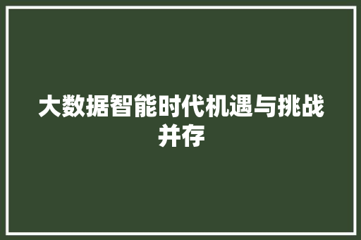 大数据智能时代机遇与挑战并存