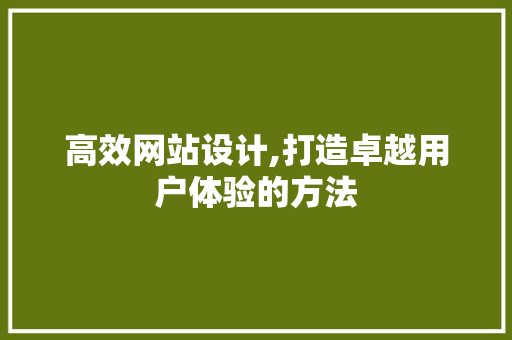 高效网站设计,打造卓越用户体验的方法