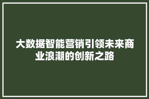 大数据智能营销引领未来商业浪潮的创新之路