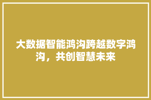 大数据智能鸿沟跨越数字鸿沟，共创智慧未来