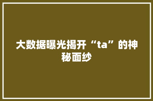 大数据曝光揭开“ta”的神秘面纱