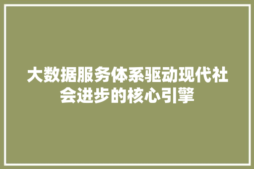 大数据服务体系驱动现代社会进步的核心引擎