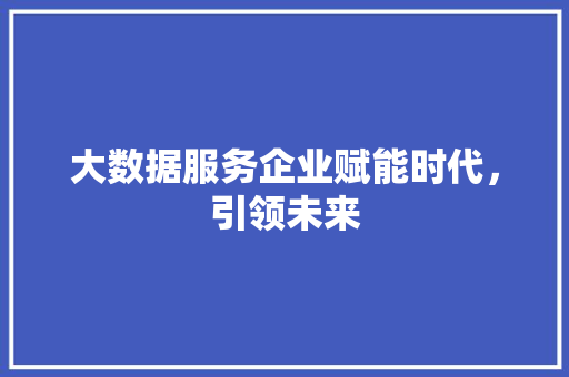 大数据服务企业赋能时代，引领未来