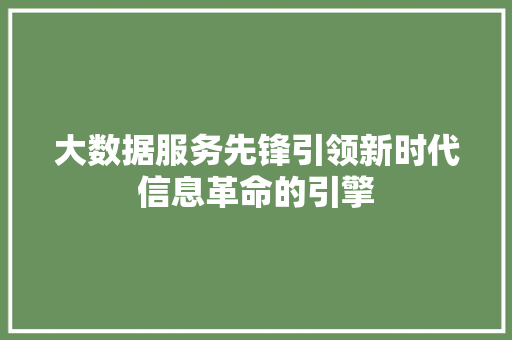 大数据服务先锋引领新时代信息革命的引擎