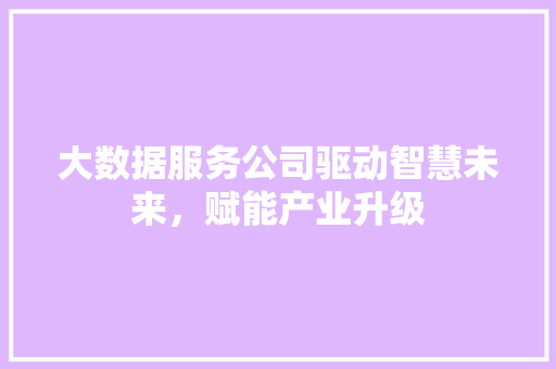 大数据服务公司驱动智慧未来，赋能产业升级