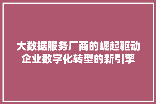 大数据服务厂商的崛起驱动企业数字化转型的新引擎
