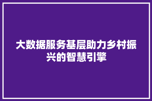 大数据服务基层助力乡村振兴的智慧引擎