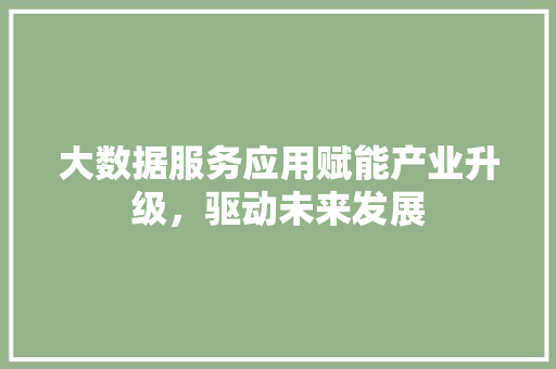 大数据服务应用赋能产业升级，驱动未来发展